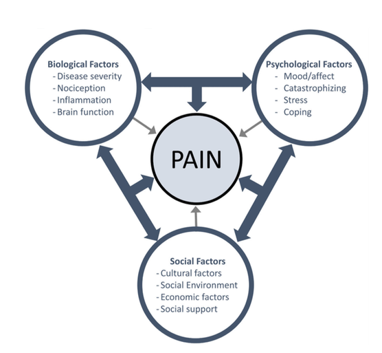 Biopsychosocial Model of Pain